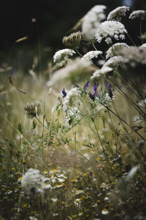 annie-spratt-f5k93sv9tnc-unsplash-bed06a0d