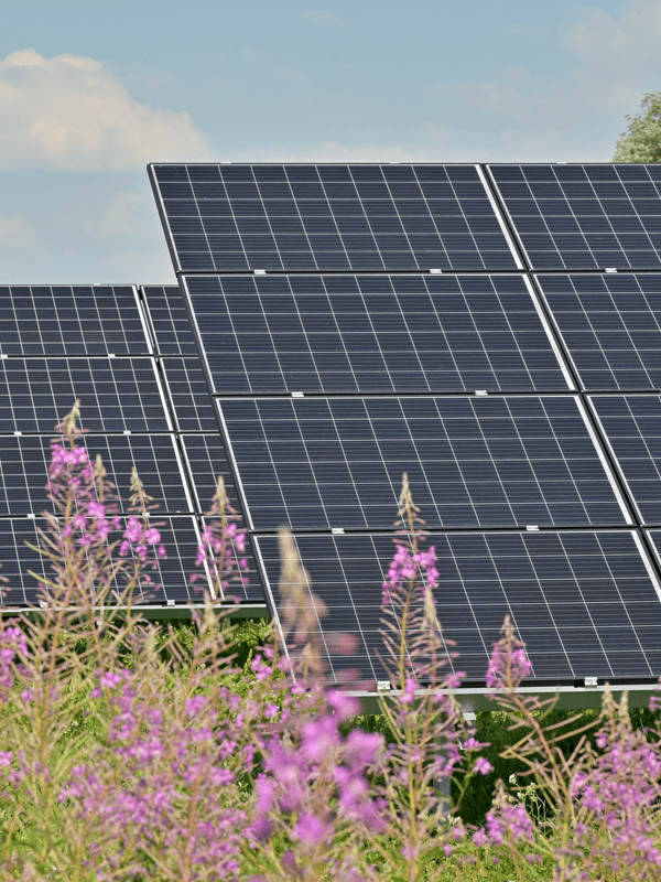 photovoltaikanlagenreinigung-01-e193b5c5